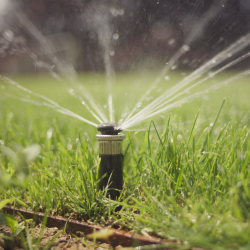 Bewässerungsanlage für Ihren Garten